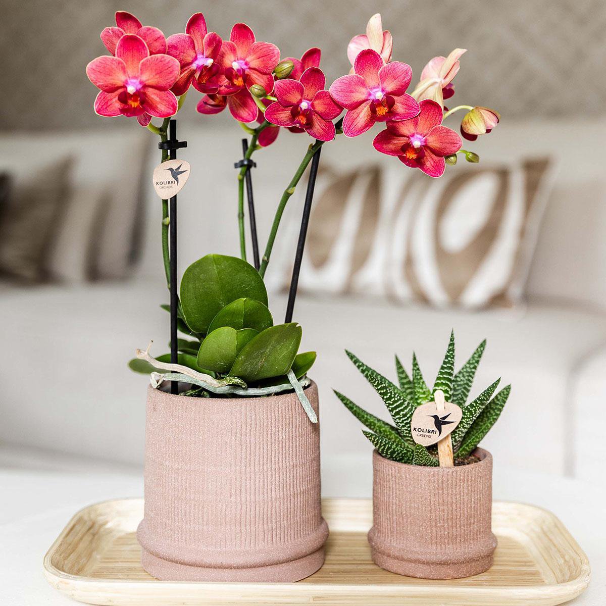 Kolibri Home | Bali sierpot - Sand - Ø9cm
