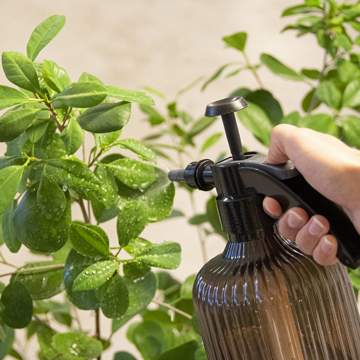 Plantenspuit - Assorti kleuren - C2,2 liter - ↑ 33 cm