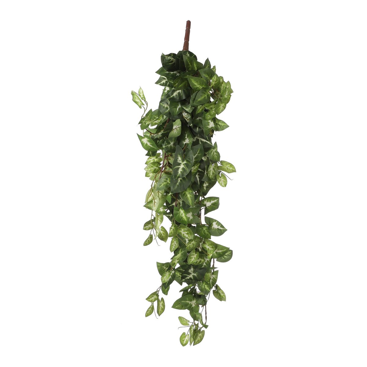 Fittonia Kunst Hangplant - L15 x B30 x H80 cm - Groen