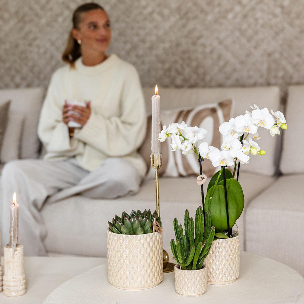 Kolibri Home | Diamond Pearl Sierpot - Travertine - Ø9cm
