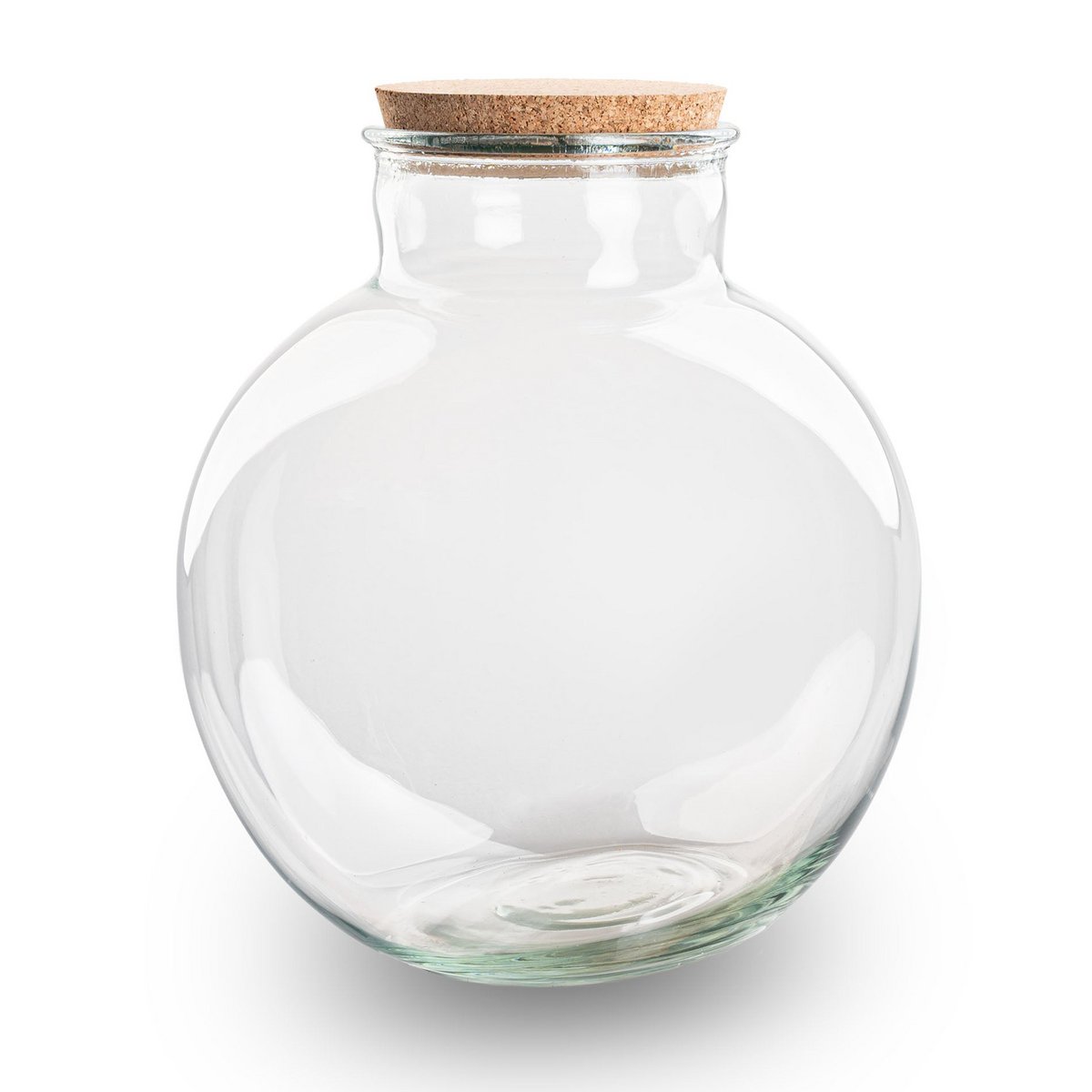 Terrariumfles met kurk - Bolder Bob - Gesloten terrarium ↑ 30 cm
