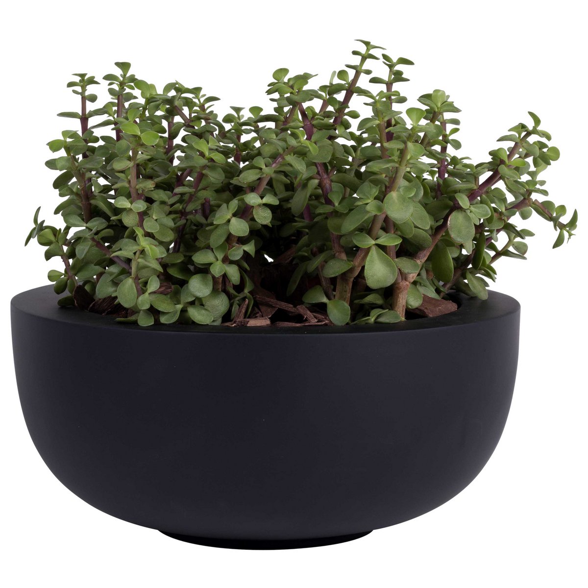 Plantenpot - Ducos S black (set van 2 stuks)