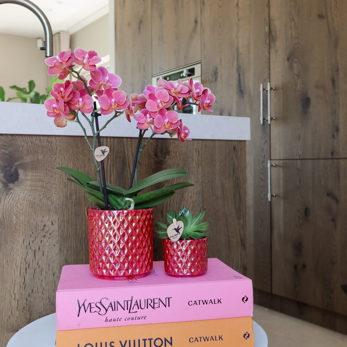 Colibr Orchids | Rode Phalaenopsis Orchid Congo + Diamond Pearl Pot Rood - Pot Measure Ø9cm | -Driverende kamerplant - vers van de teler