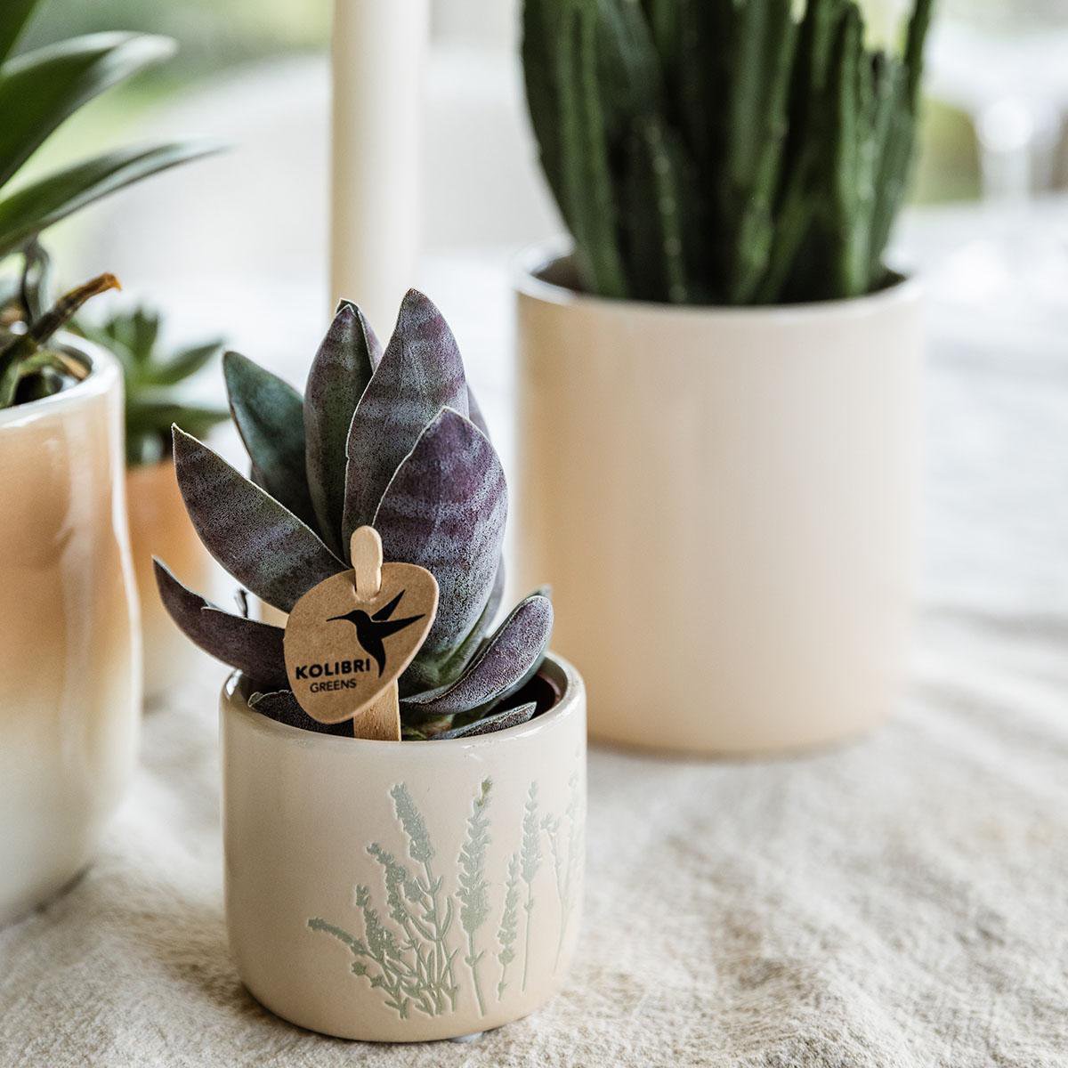 Kolibri Home | Bloembloempot - Lichtblauw - 6 cm
