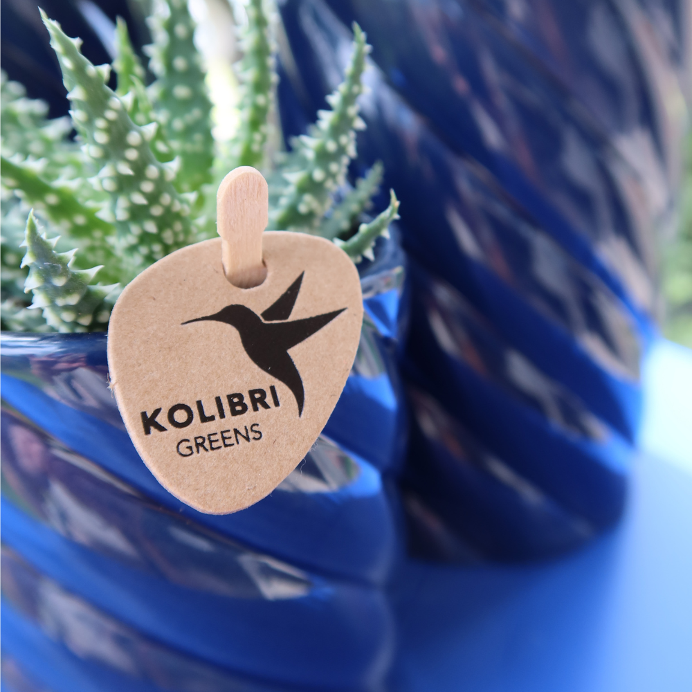Kolibri Thuis | Snoep sierpot | Hoog - Blauw - Ø6cm