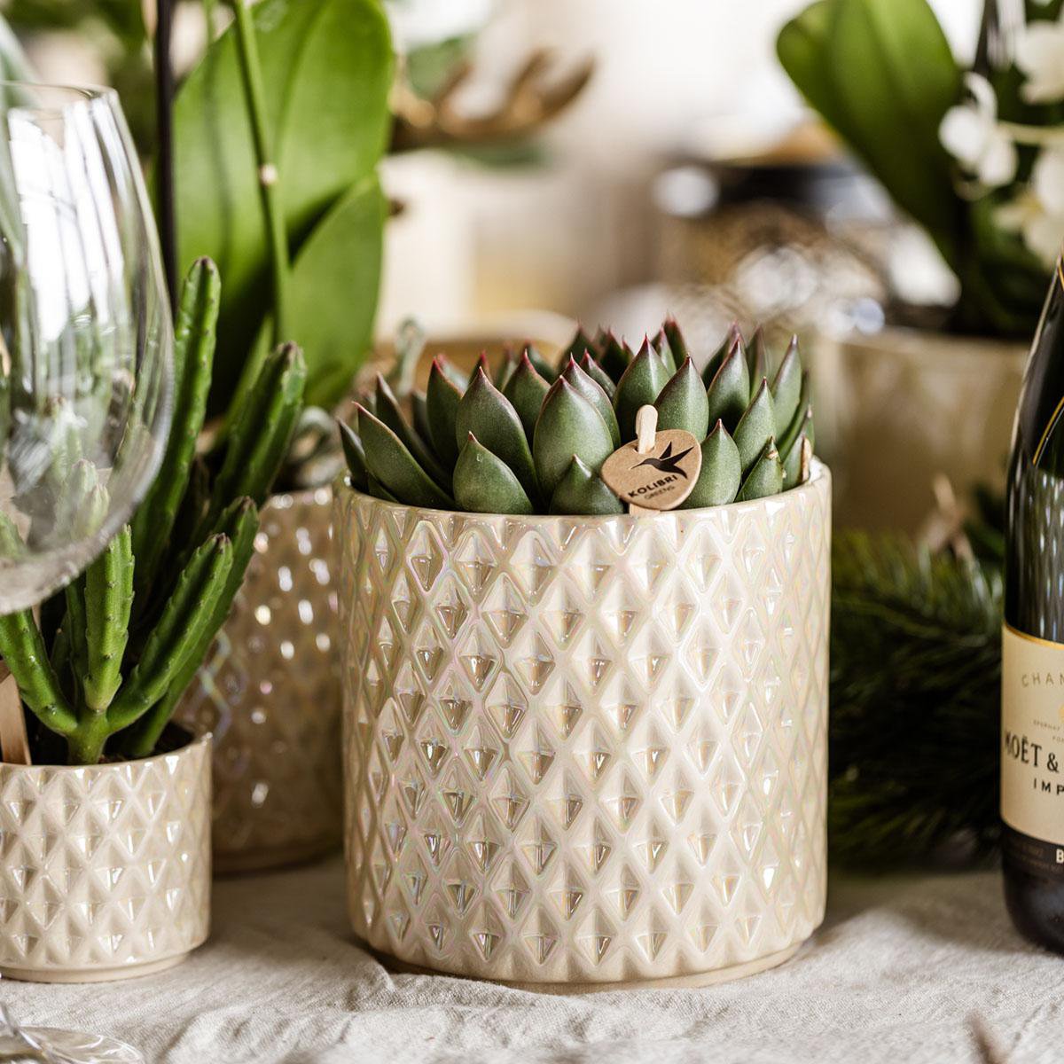 Kolibri Home | Diamond Pearl Sierpot - Travertine - Ø9cm