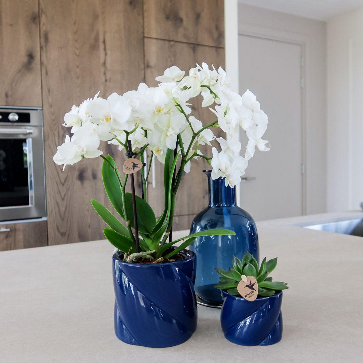 Kolibri Home | Candy Sierpot - Blauw - Ø9cm