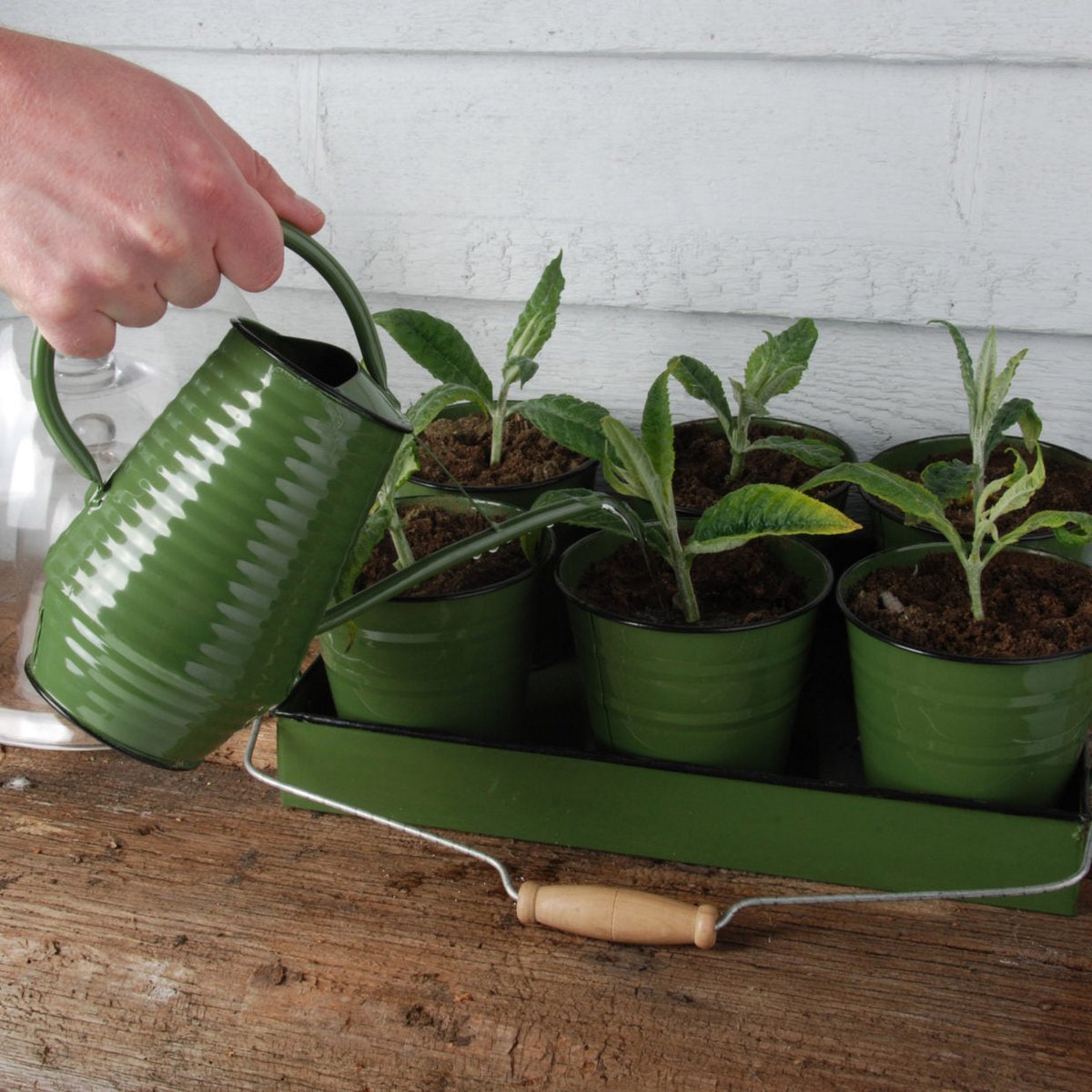 Bloemengieter - Zink - 1 liter - Groen - Grijs - Wit