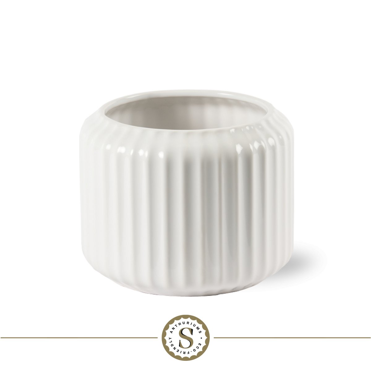 Bologna White Lilli