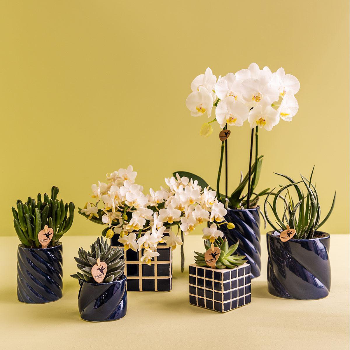 Kolibri Home | Candy Sierpot - Blauw - Ø9cm
