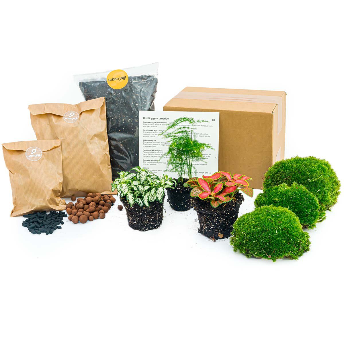 Plantenterrariumpakket - Asperges - 3 terrariumplanten - Navul- & Startpakket - DIY Terrariumpakket