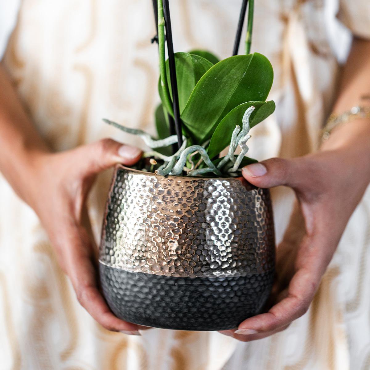 Kolibri Home | Elite pot copper - Ø9cm