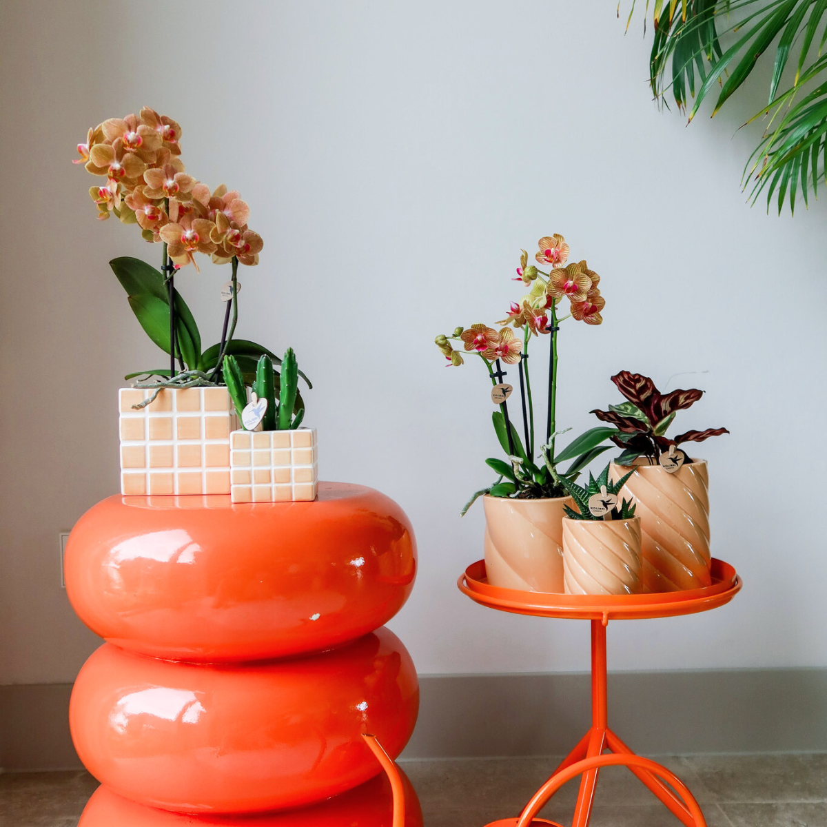 Kolibri Home | Mosa sierpot - oranje - Ø6cm
