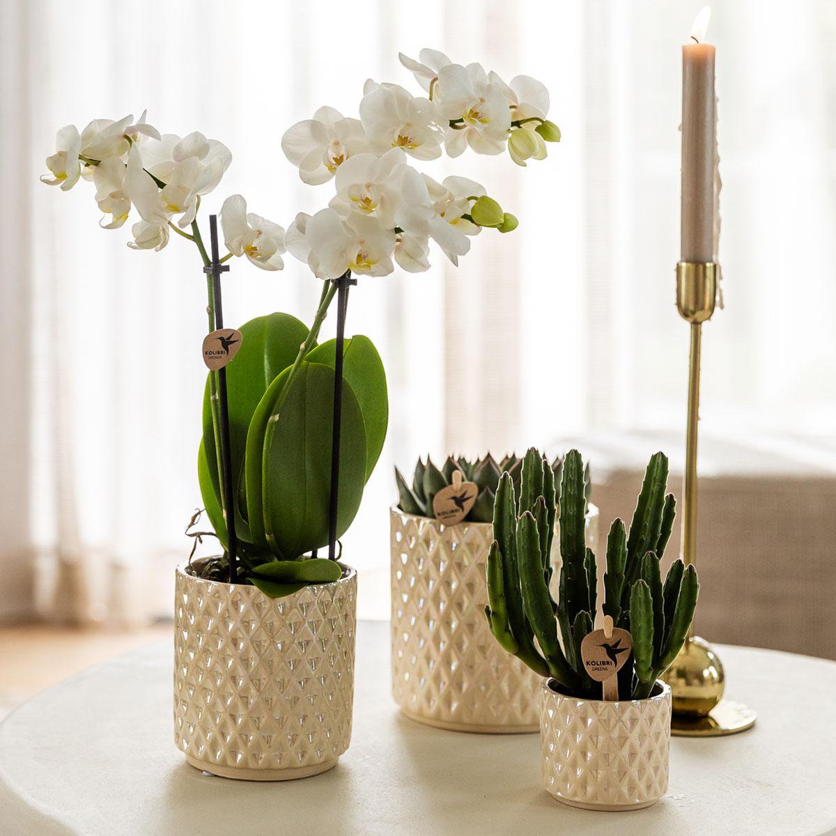 Kolibri Home | Diamond Pearl Sierpot - Travertine - Ø9cm