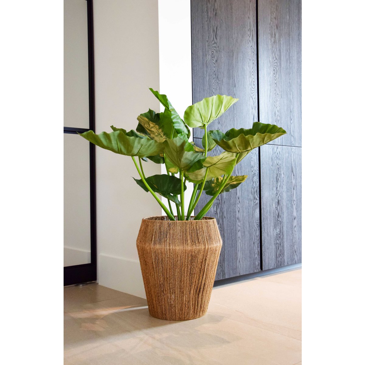 Plantenbak - Hué Jute