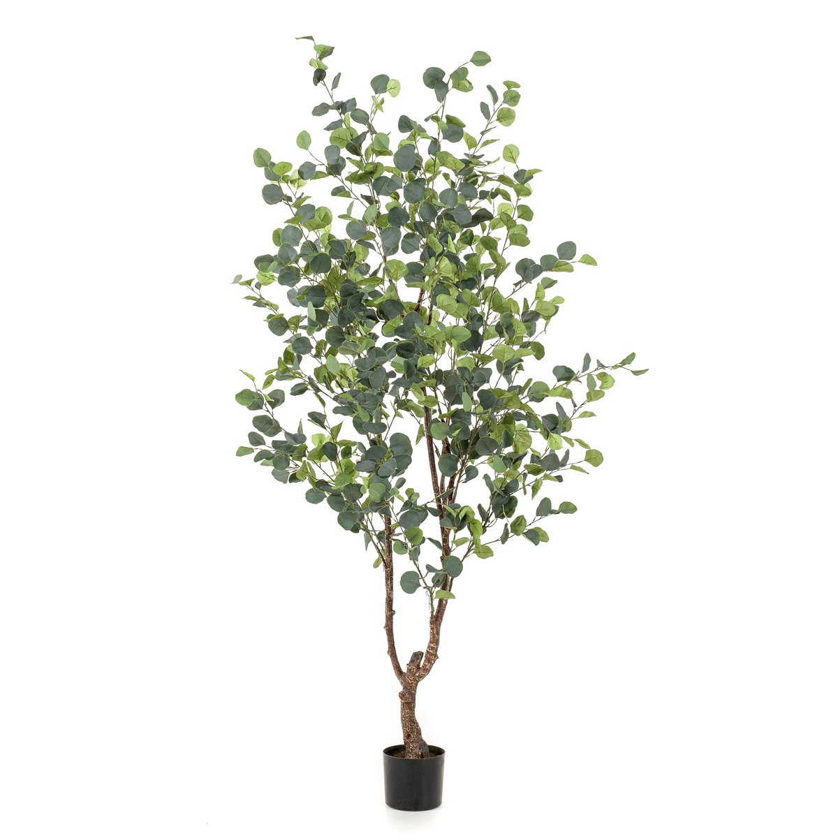 Kunstplant - Eucalyptus - Blauwe Gomboom - 180 cm