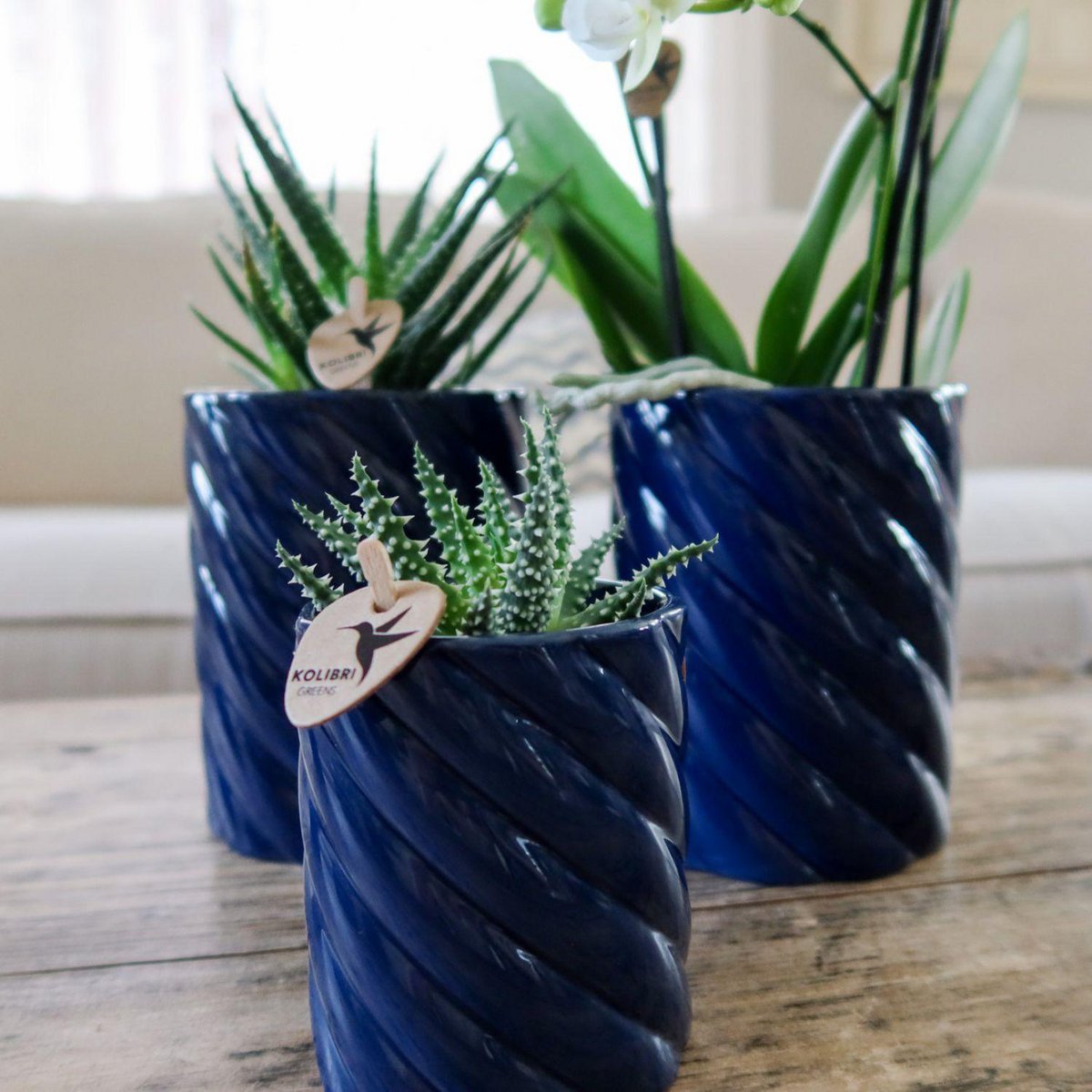 Kolibri Thuis | Snoep sierpot | Hoog - Blauw - Ø6cm