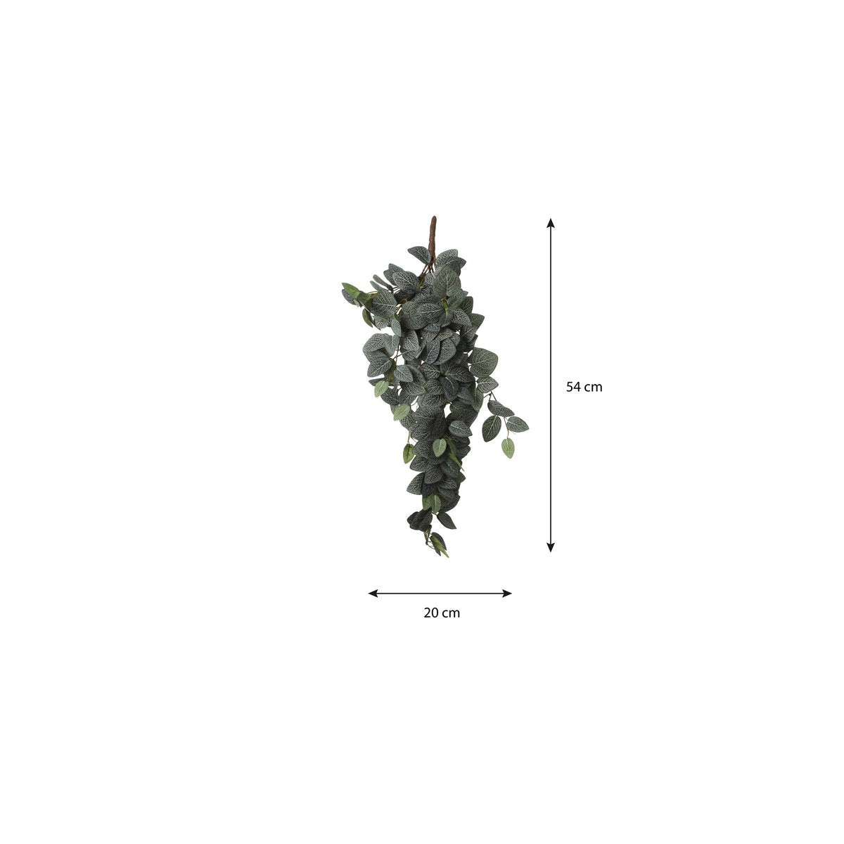 Fittonia Kunst Hangplant - L15 x B20 x H54 cm - Groen