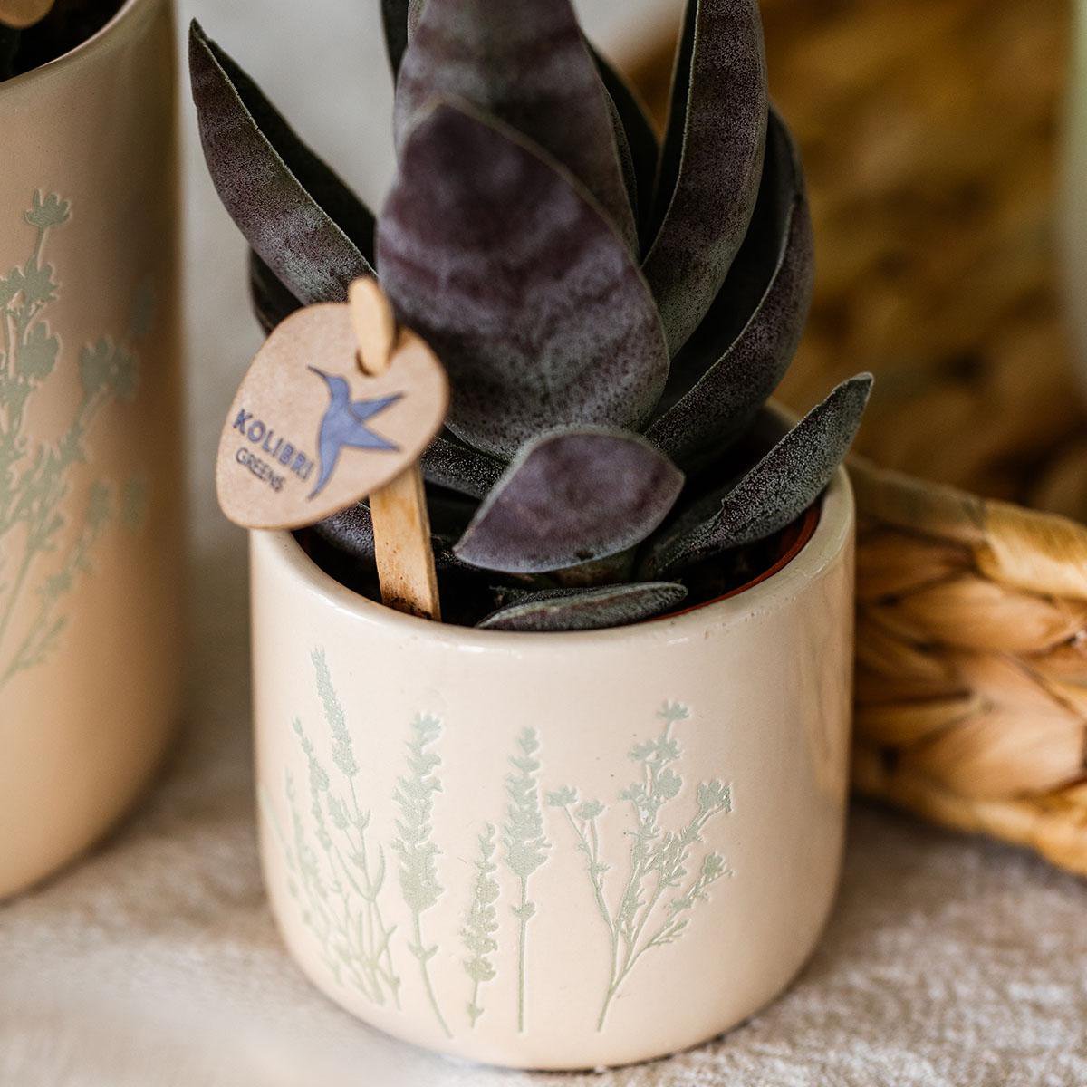 Kolibri Home | Bloembloempot - Lichtblauw - 6 cm