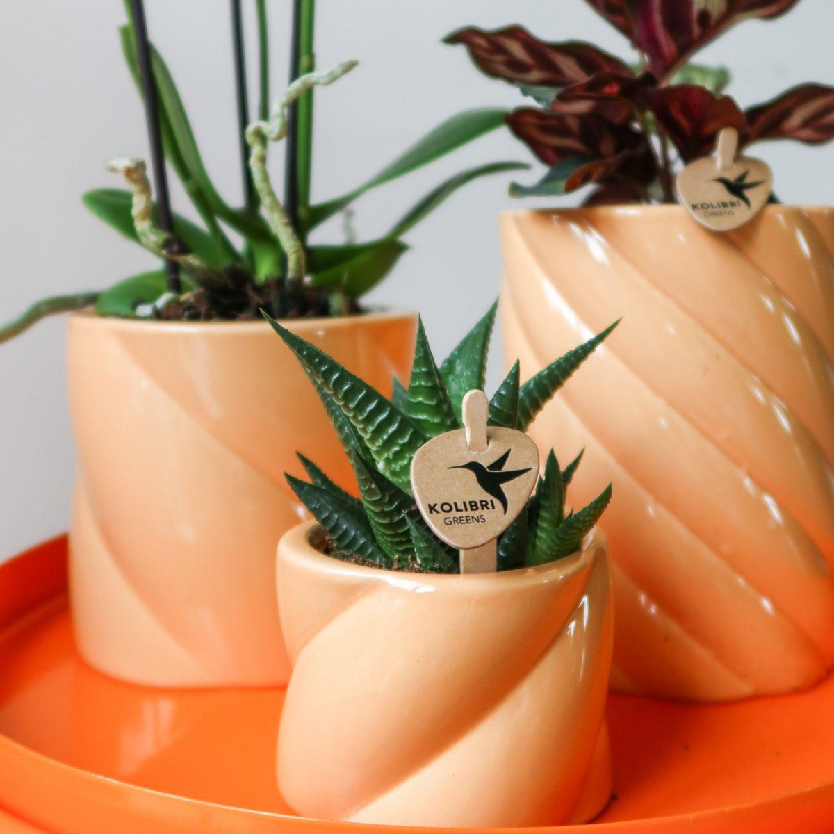 Kolibri Home | Candy Sierpot | Hoog - perzik - Ø9cm