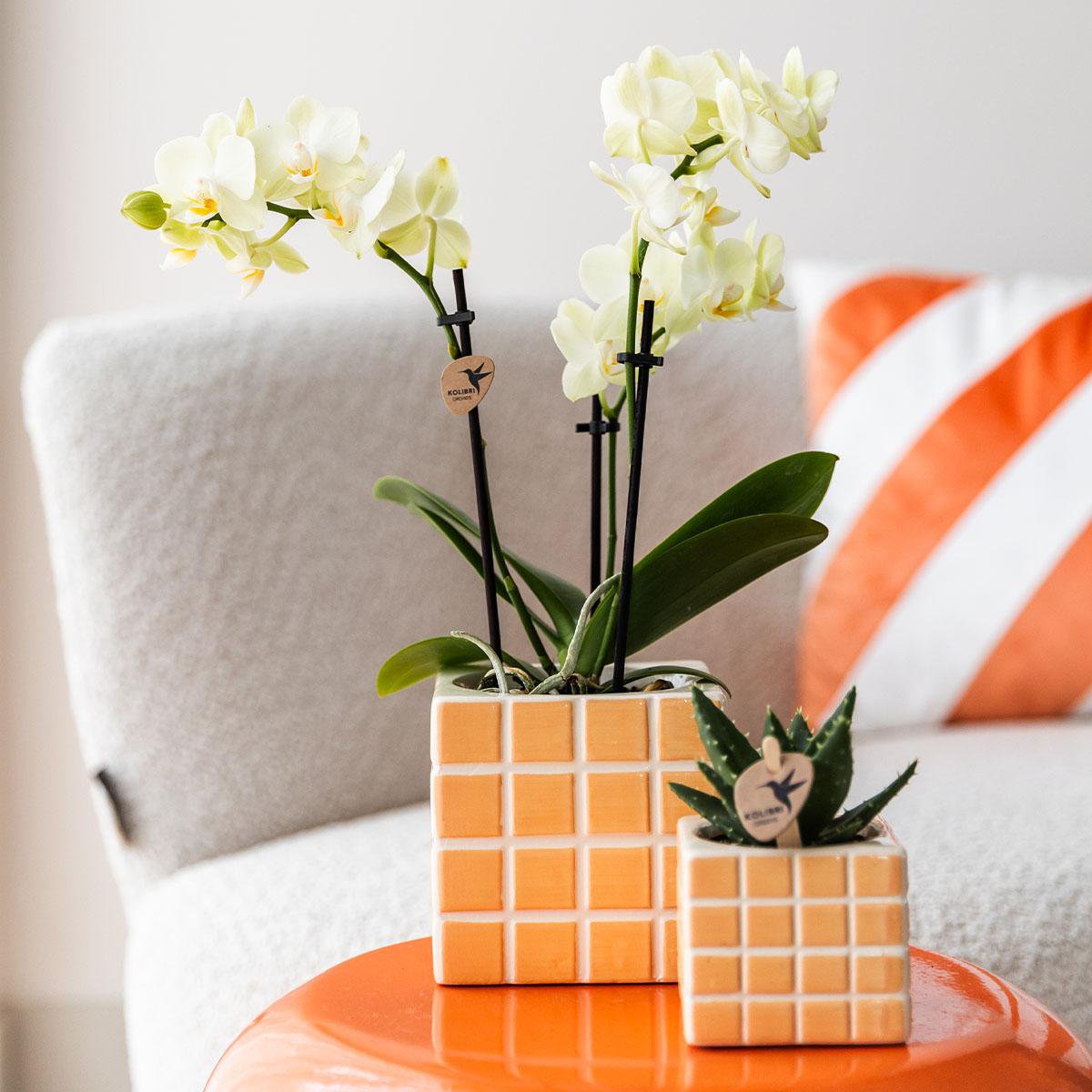 Kolibri Home | Mosa sierpot - oranje - Ø6cm