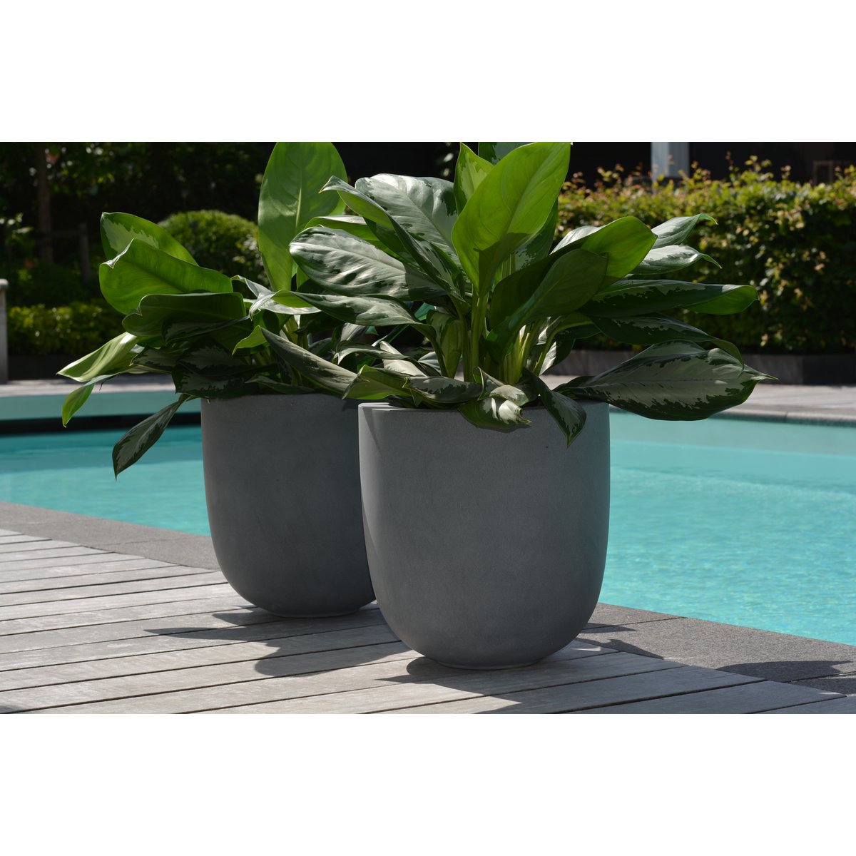Plantenpot - Ducos big grey