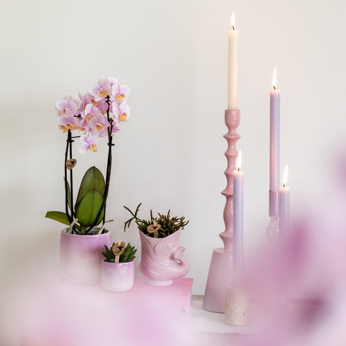 Kolibri Thuis | Vis - Roze - Ø6cm