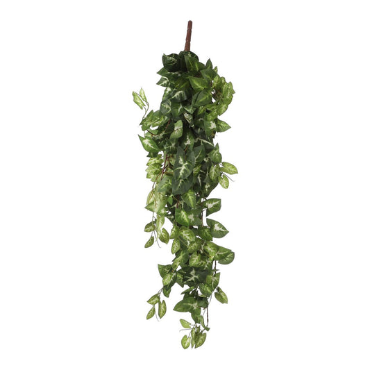 Fittonia Kunst Hangplant - L15 x B30 x H80 cm - Groen