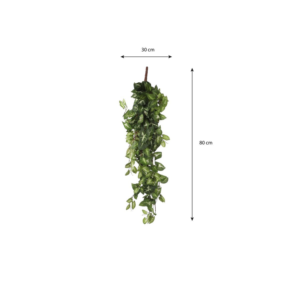 Fittonia Kunst Hangplant - L15 x B30 x H80 cm - Groen