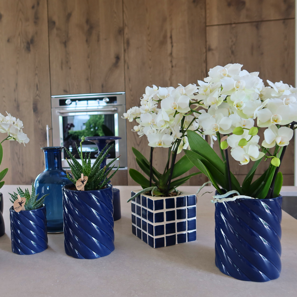 Kolibri Home | Candy sierpot | Hoog - Blue - Ø9cm