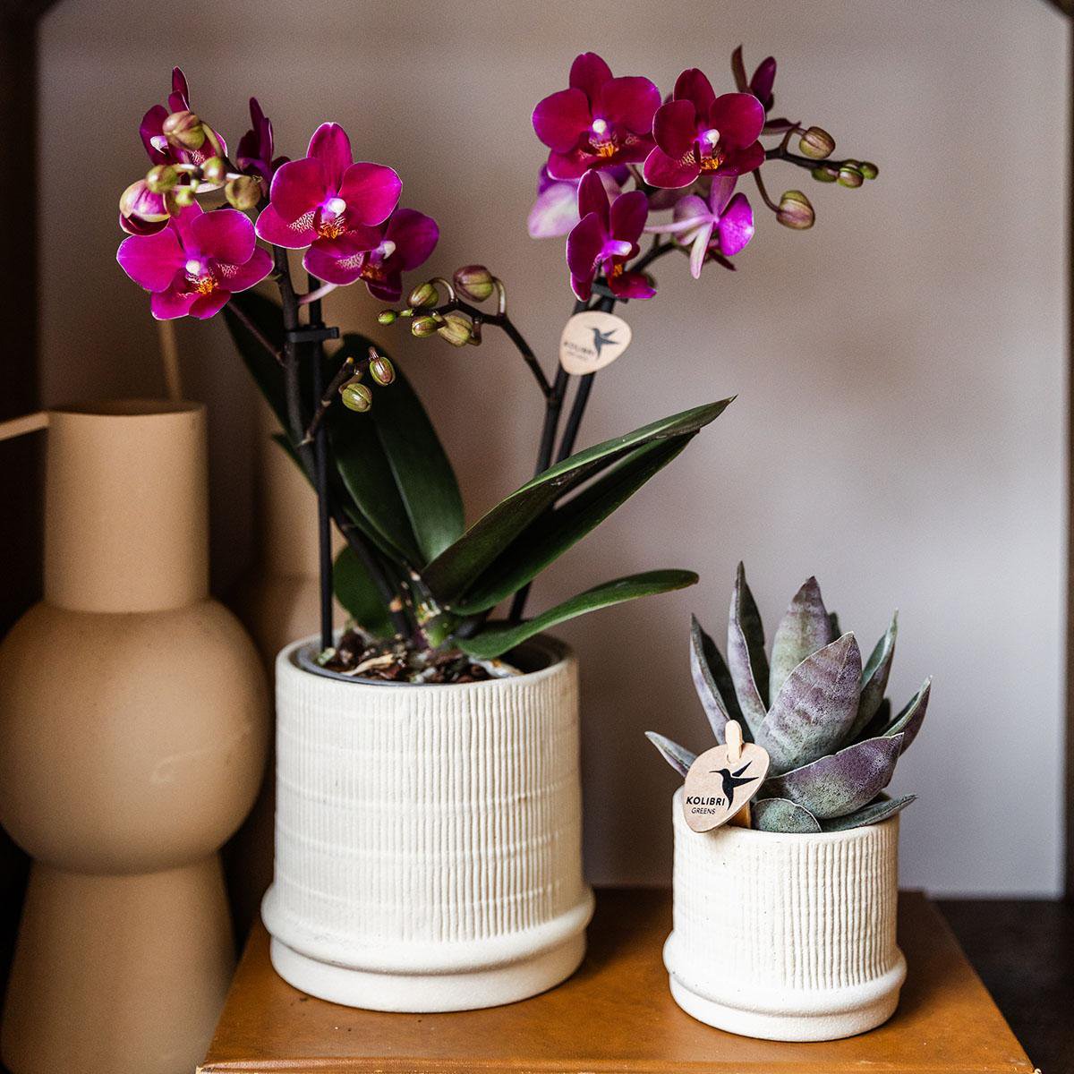 Kolibri Thuis | Bali sierpot - Off White - Ø9cm