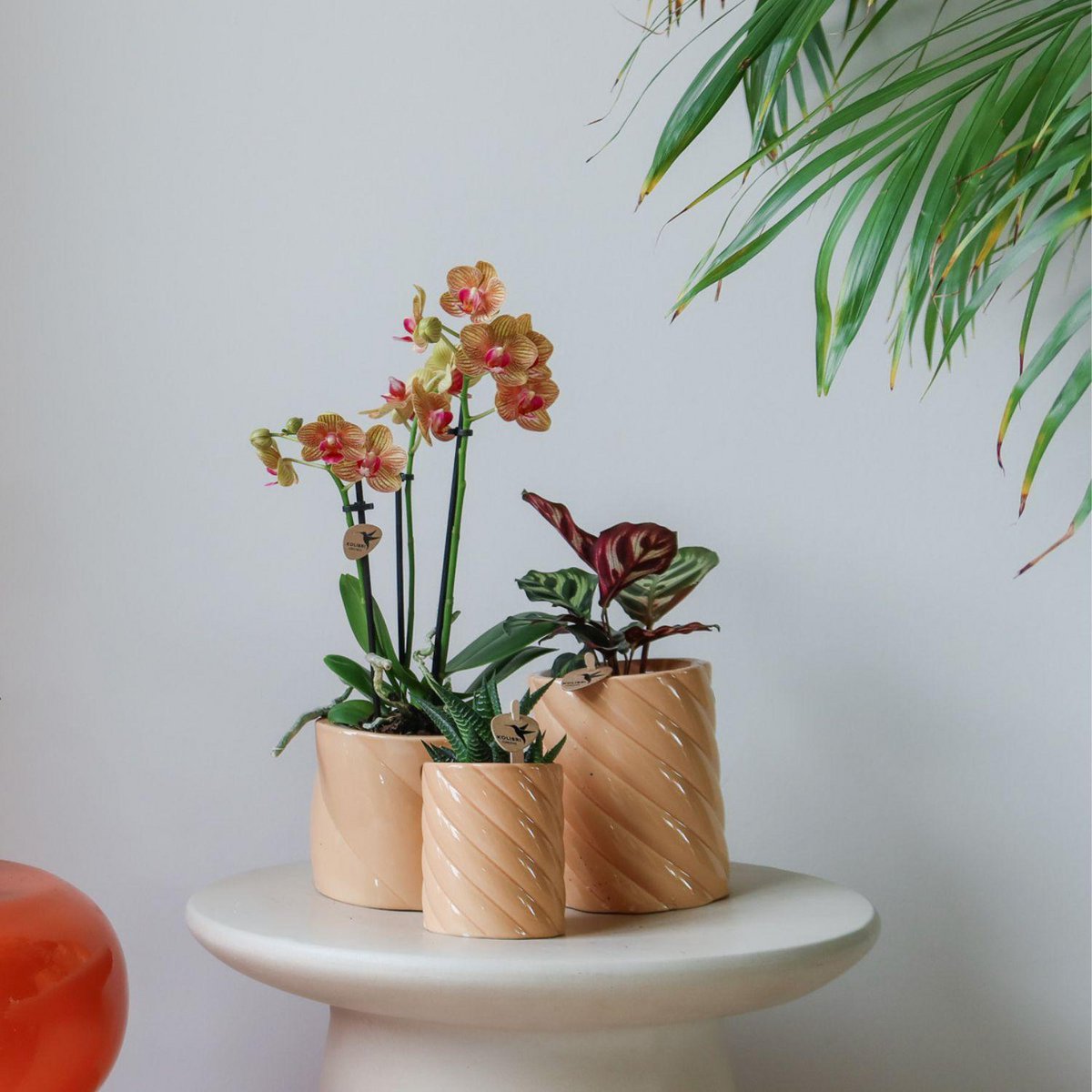 Kolibri Home | Candy Sierpot | Hoog - perzik - Ø9cm