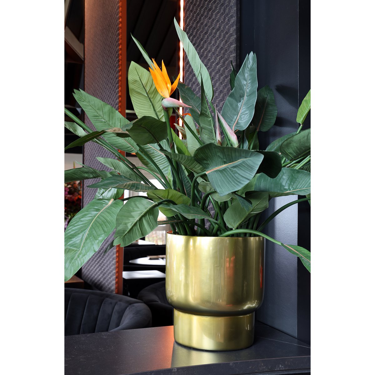 Plantenpot - Roskilde gold