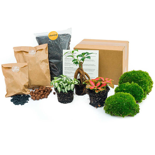 Plantenterrariumpakket - Bonsai - 3 terrariumplanten - Navul- & Startpakket - DIY Terrariumpakket