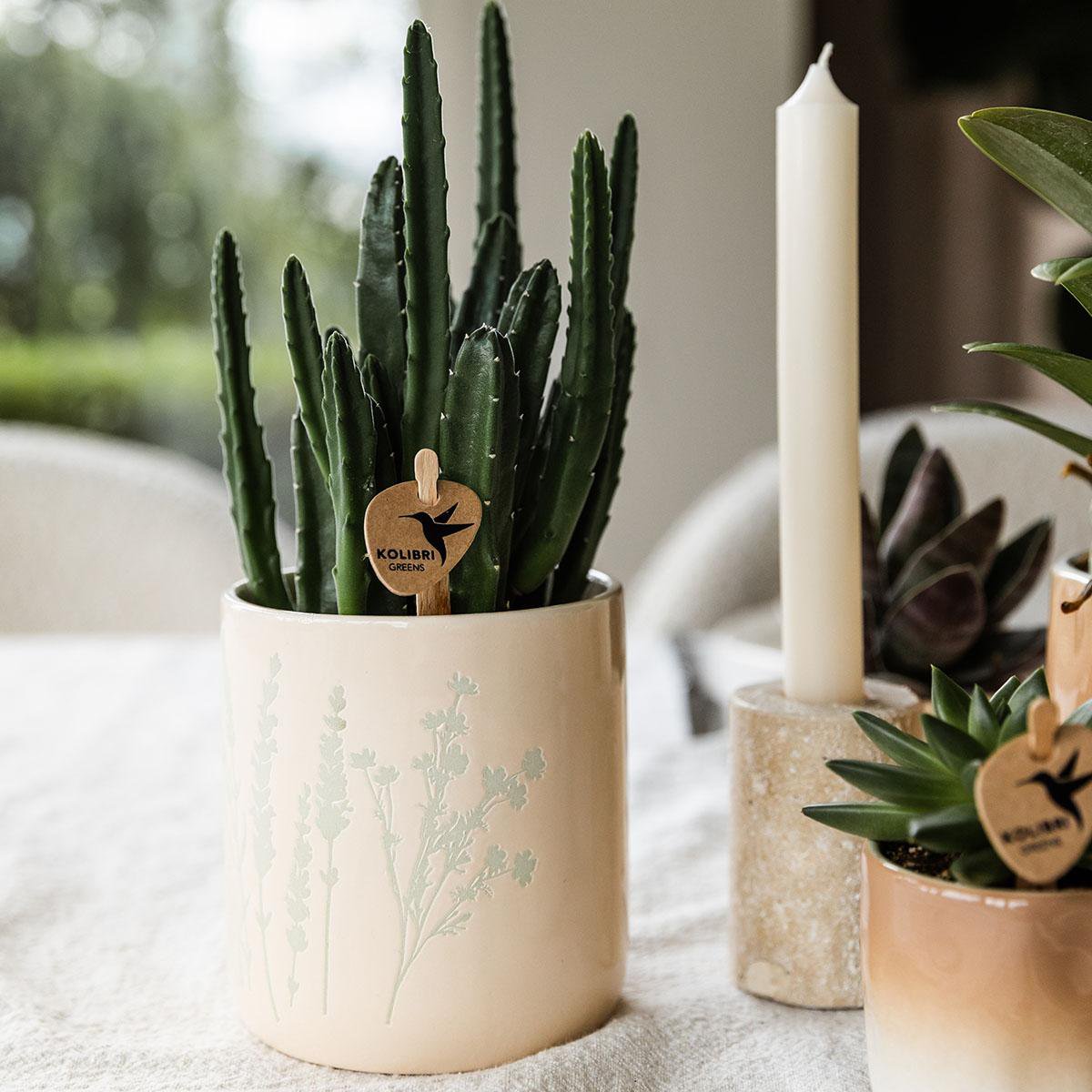 Kolibri Home | Bloembloempot - lichtblauw - 9 cm