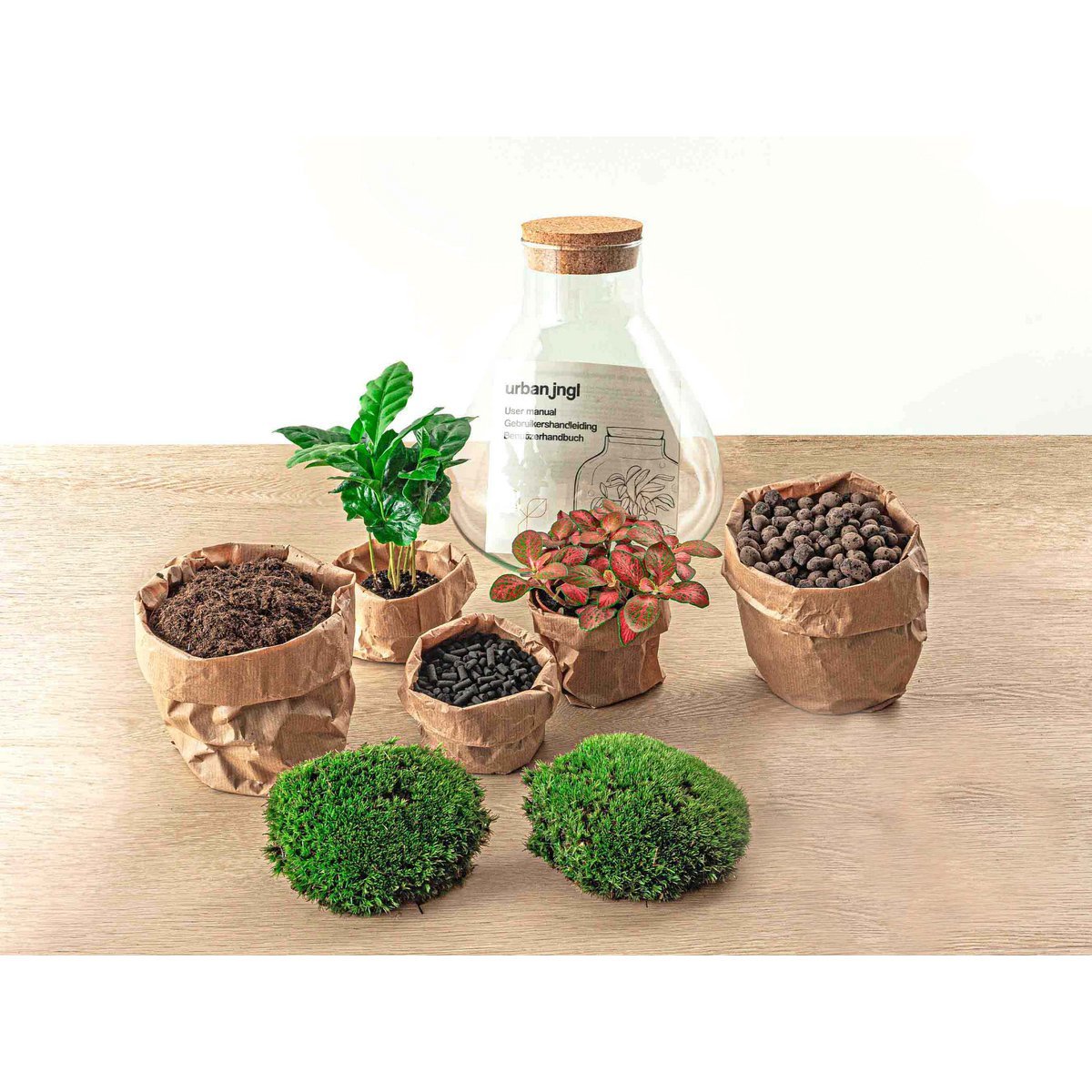 Terrarium bouwpakket - Sammie - Bottle Garden - ↑ 27 cm
