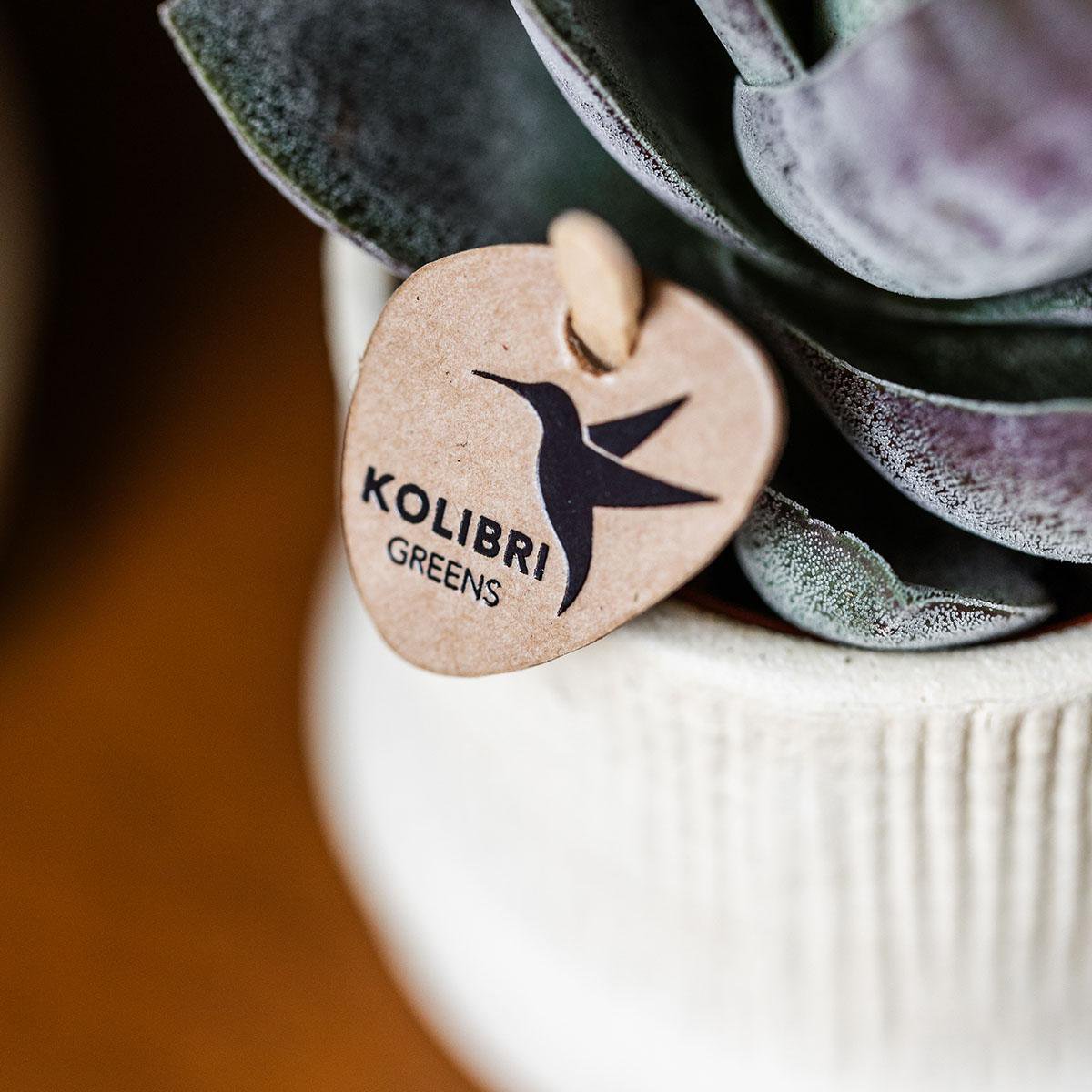 Kolibri Thuis | Bali sierpot - Off White - Ø9cm