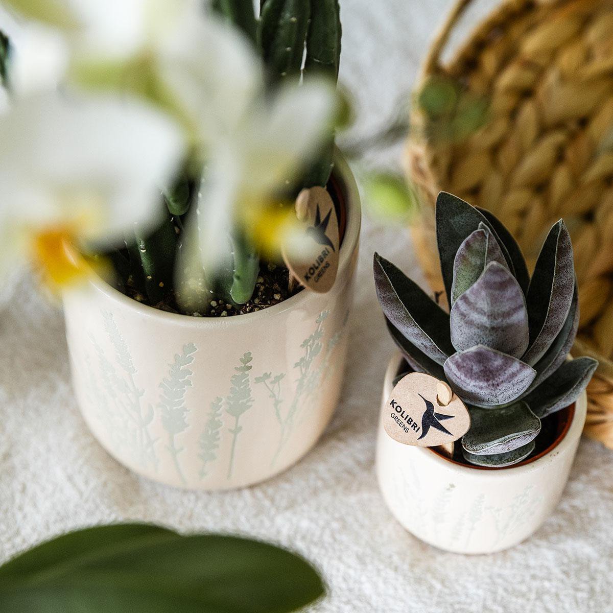 Kolibri Home | Bloembloempot - lichtblauw - 9 cm