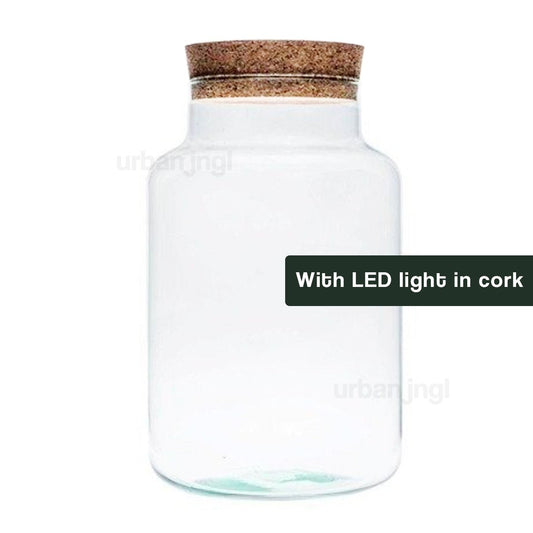 Terrarium met led kurk - Milky Led - Gesloten terrarium ↑31 cm