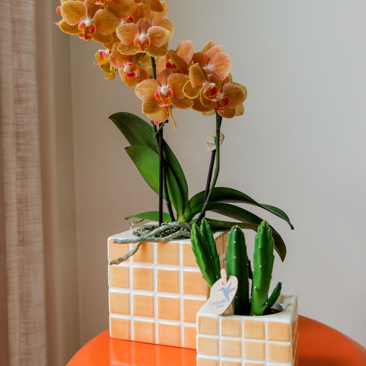 Kolibri Home | Mosa sierpot - oranje - Ø6cm