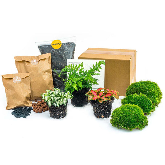 Plantenterrariumpakket - Varen - 3 terrariumplanten - Navul- & Startpakket - DIY Terrariumpakket