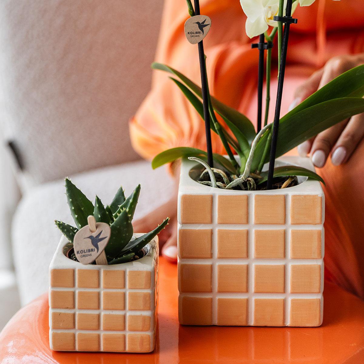 Kolibri Home | Mosa sierpot - oranje - Ø6cm