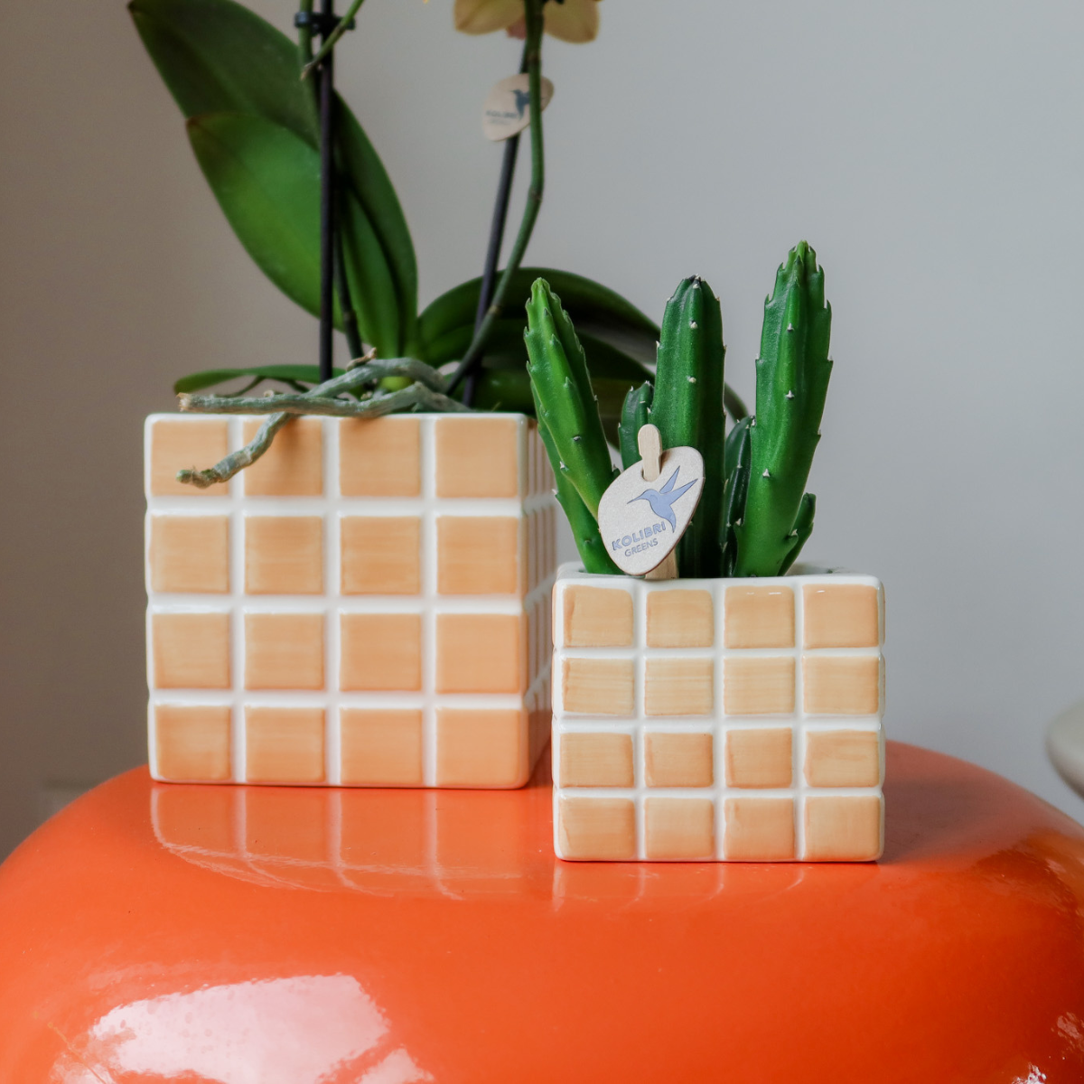 Kolibri Home | Mosa sierpot - oranje - Ø6cm