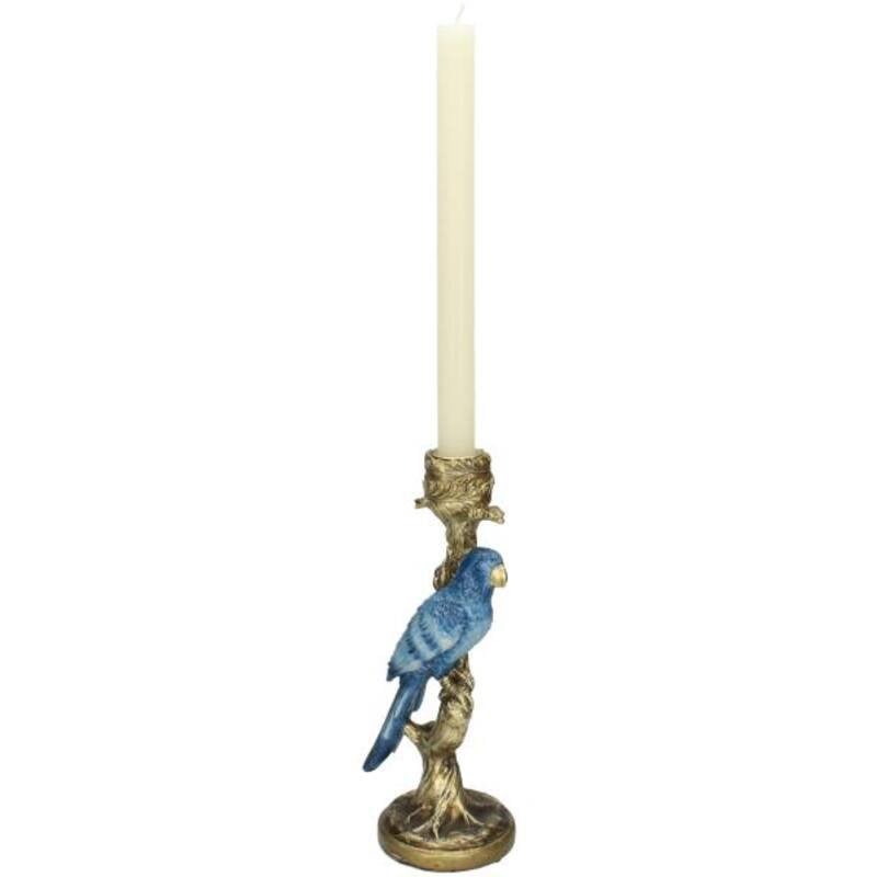 Kaarshouder - Blauwe Papegaai ↑ 25 cm