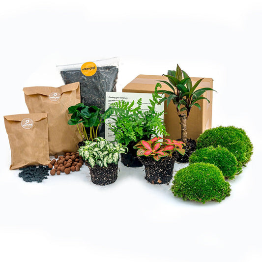 Plantenterrariumpakket - Jungle 5 - Navul- & Startpakket - DIY Terrarium Kit