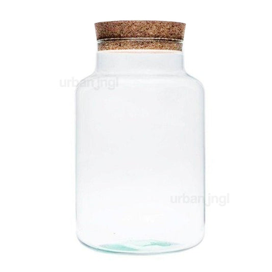 Terrarium met kurk - Milky - Gesloten terrarium ↑30 cm