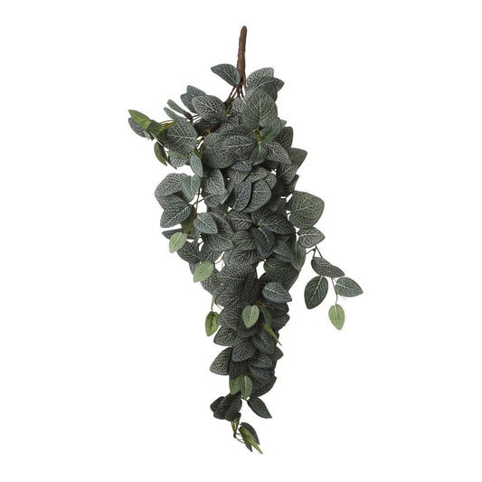 Fittonia Kunst Hangplant - L15 x B20 x H54 cm - Groen