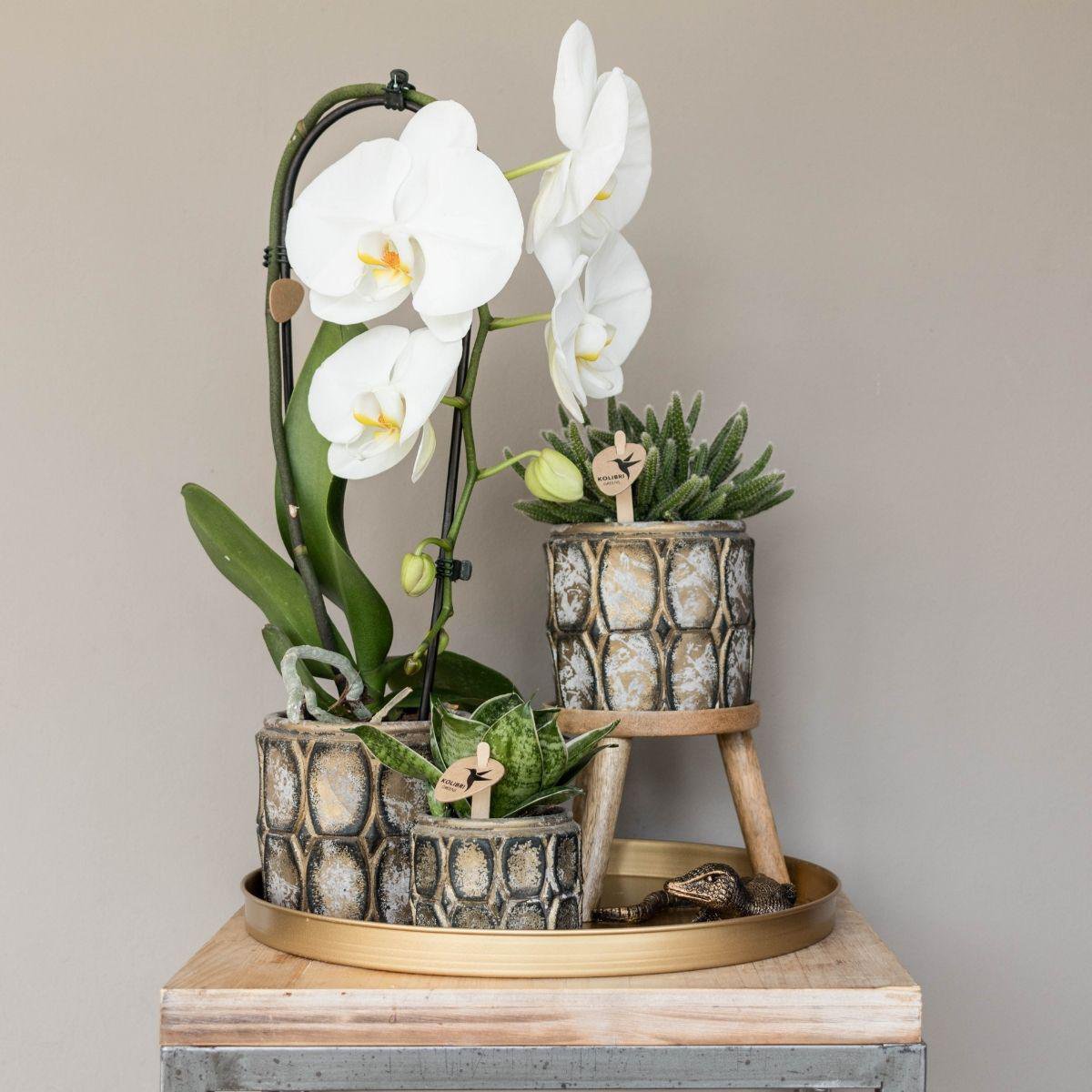 Kolibri Home | Decoratieschaal - Rond gouden dienblad Ø30cm