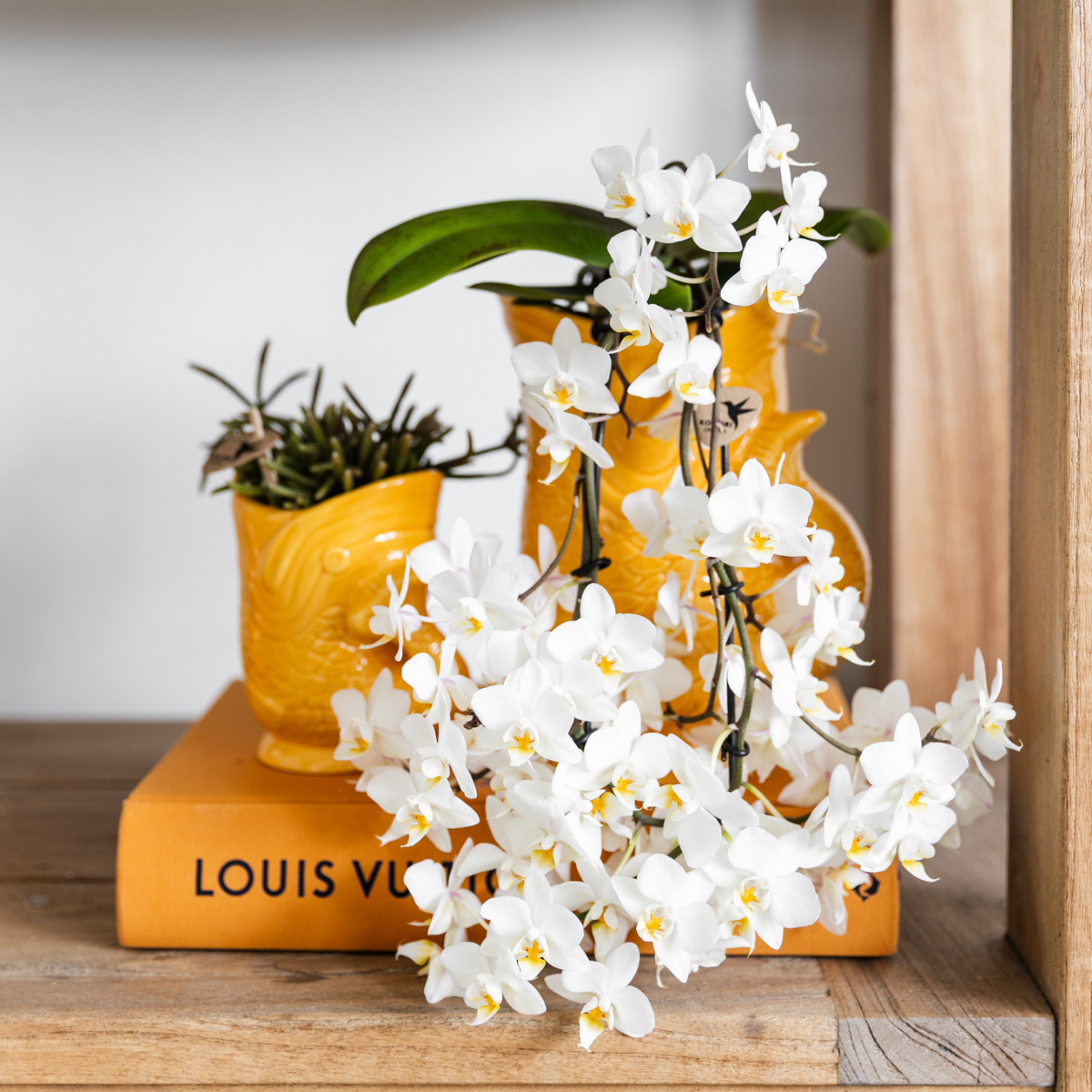 Kolibri Thuis | Vis - Oranje - Ø6cm