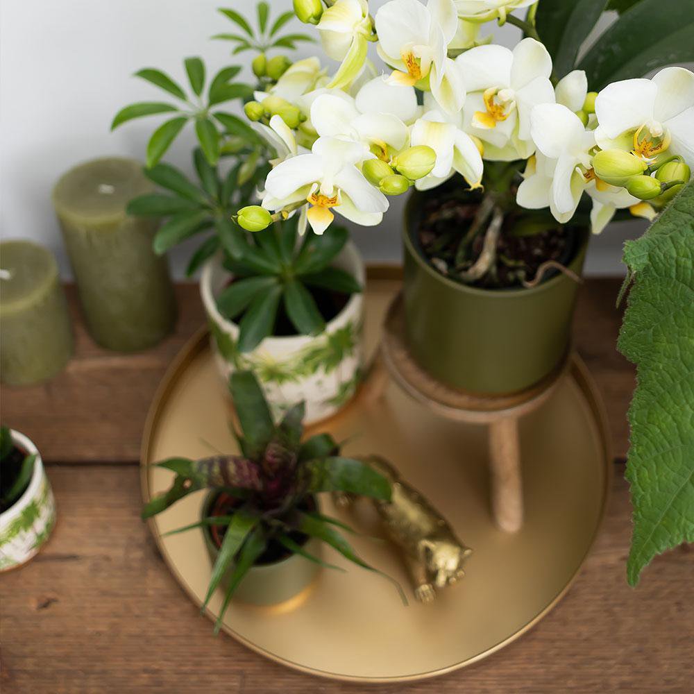 Kolibri Home | Decoratieschaal - Rond gouden dienblad Ø30cm